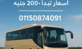 🚍 تأجير باص سياحي في المنصورة والقاهرة – أفضل شركات النقل السياحي